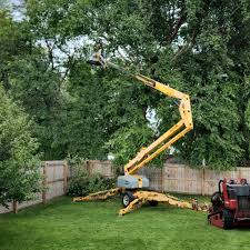 Mulching Services in Lawrence, MA